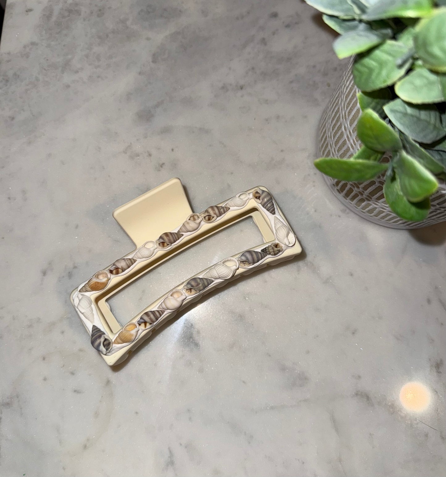 Medium Auger Shell Claw Clip