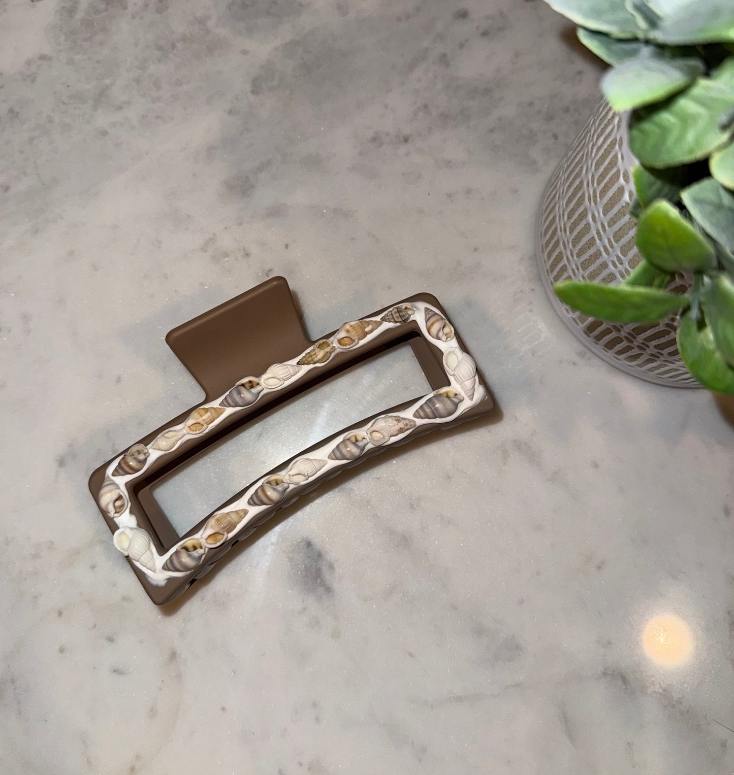 Medium Auger Shell Claw Clip