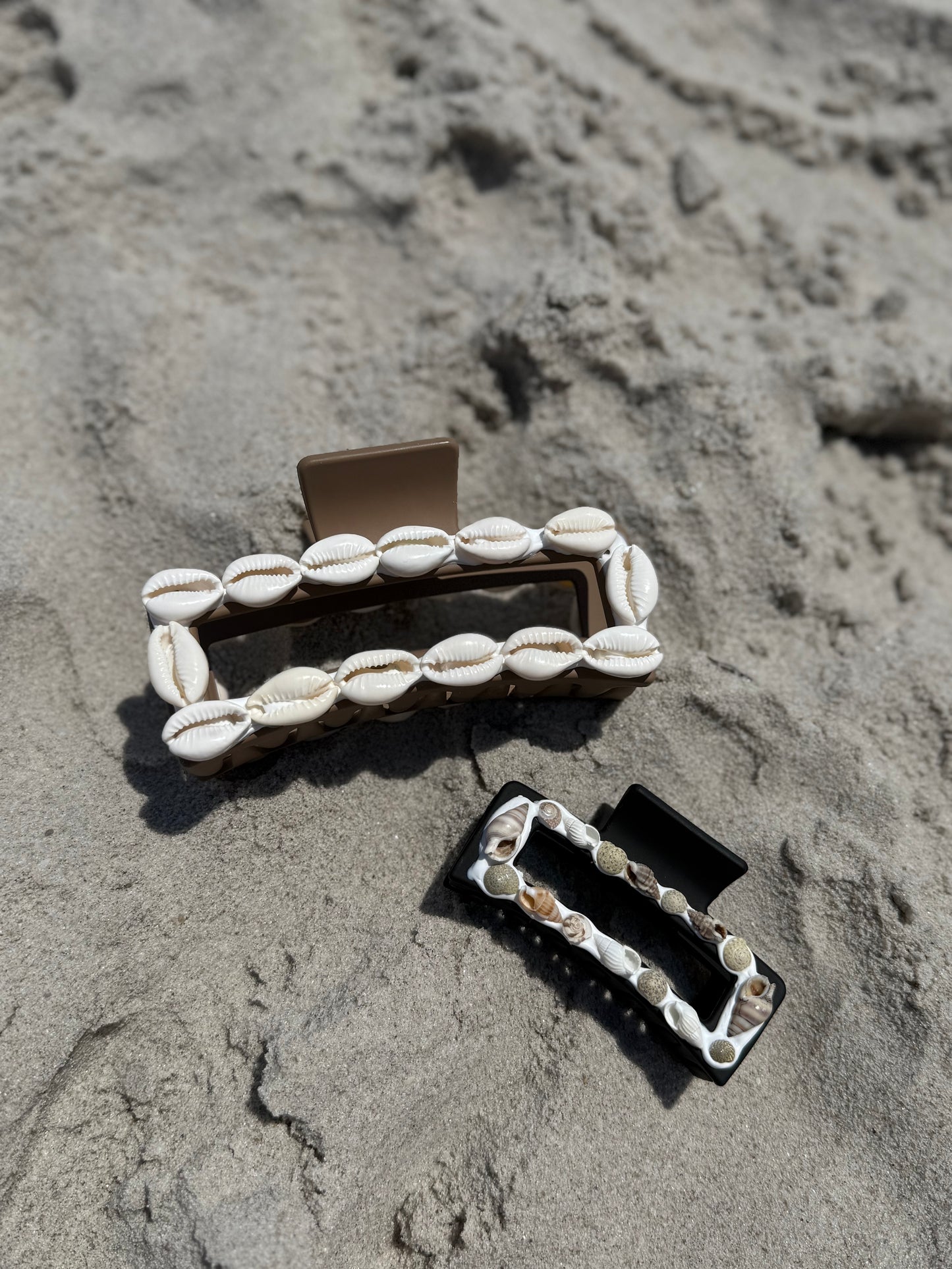 Medium Auger Shell Claw Clip